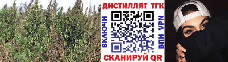 ТГК THC oil  Козловка 